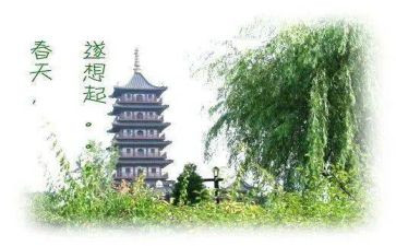 让梦想起飞演讲稿5篇