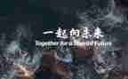 残奥会一起向未来心得体会5篇