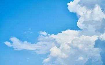 听骆驼祥子的读后感300字精选6篇