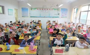 小学语文老师的述职报告通用6篇