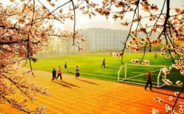学校园述职报告6篇