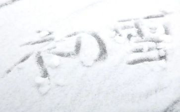 下雪幼儿园教案7篇