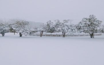 下雪了中班教案5篇