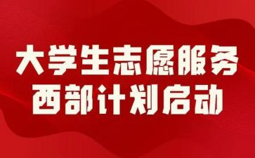 2024年西部计划志愿者个人总结6篇