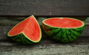 送西瓜教案模板7篇