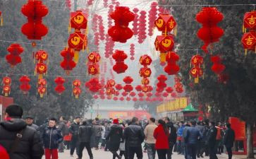 新年教师活动方案5篇