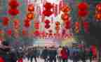 新年教师活动方案5篇