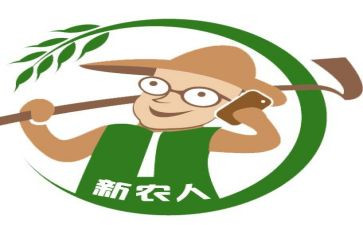 新农村实践报告5篇