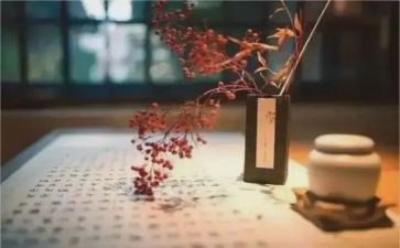 关于修养的心得8篇