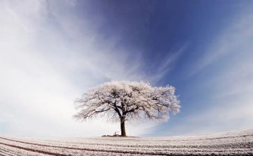 和路雪营销策划方案精选7篇
