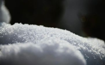 文章雪的读后感6篇