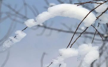 校园除雪作文精选8篇