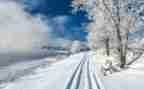 大雪活动教案6篇