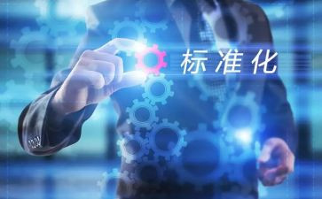 学标准用标准懂标准活动方案优秀6篇