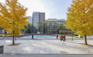 学校2023领导述职报告最新5篇