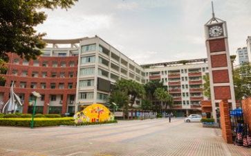 到学校的心得体会最新8篇