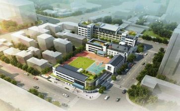 学校感想心得体会6篇