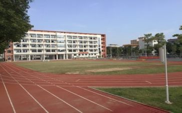 到学校的心得体会800字7篇