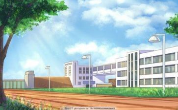 学校述职报告总结7篇