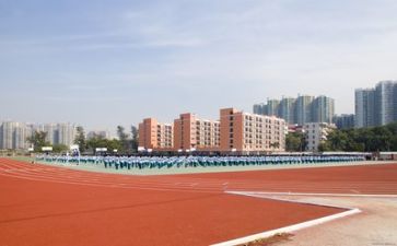 到学校的心得体会作文7篇