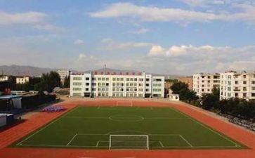 学校军训心得体会800字5篇