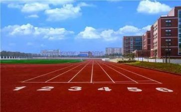 学校教师的个人述职报告范文6篇