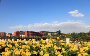我们去学校作文6篇