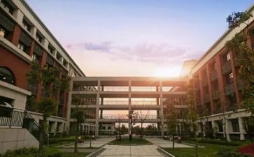 到学校的心得体会精选8篇