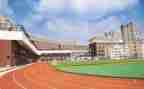 学校校长述职报告2023优秀6篇