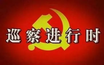 巡察汇报材料8篇