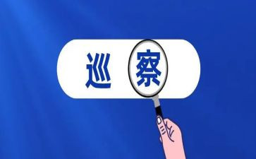 巡察组个人述职述廉报告5篇