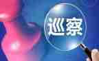 党支部巡察整改报告6篇