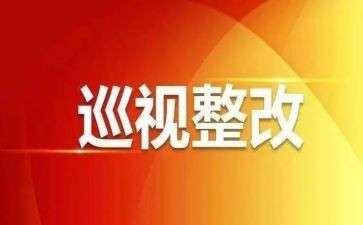 巡视整给对照检查材料7篇