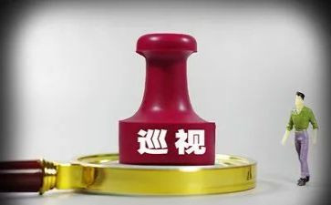 巡视检查个人对照材料8篇