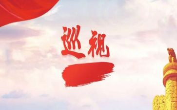 2023巡视检查对照材料7篇