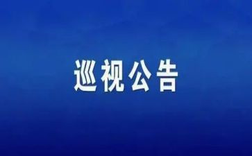 2023巡视个人对照材料7篇
