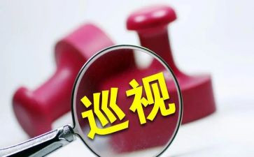 对照检查材料巡视组整改8篇