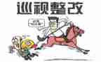 巡视组班子对照材料8篇
