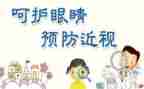 大班眼睛的教案精选6篇