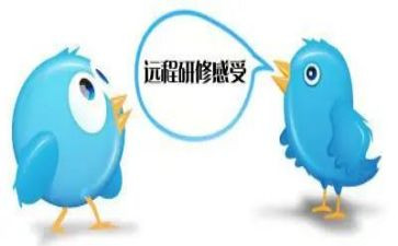 研修活动总结5篇