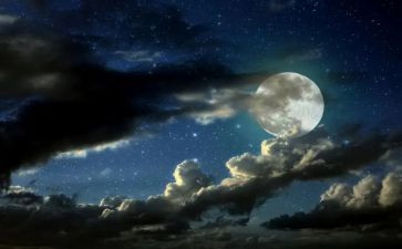 《子夜》读后感500字5篇