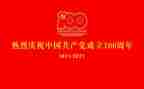 学习一百周年讲话心得体会5篇