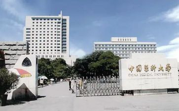 2024年中医科述职报告7篇