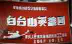 写英雄事迹500字8篇