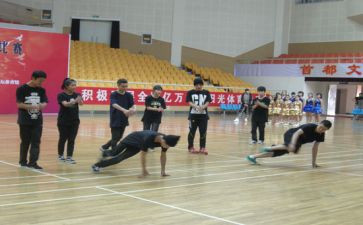 图音体工作总结5篇