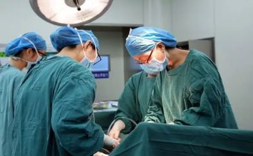 助理兽医师述职报告5篇