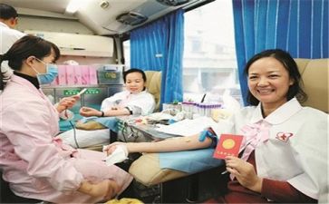 2024医务科工作总结最新6篇