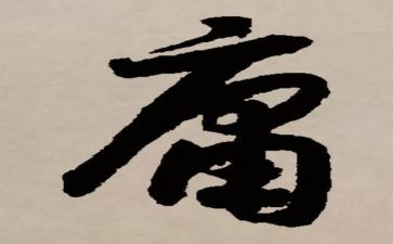 中庸的读后感5篇