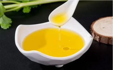 加油鸭教案7篇