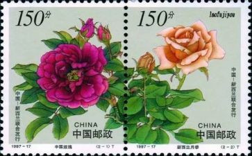邮票的故事作文7篇